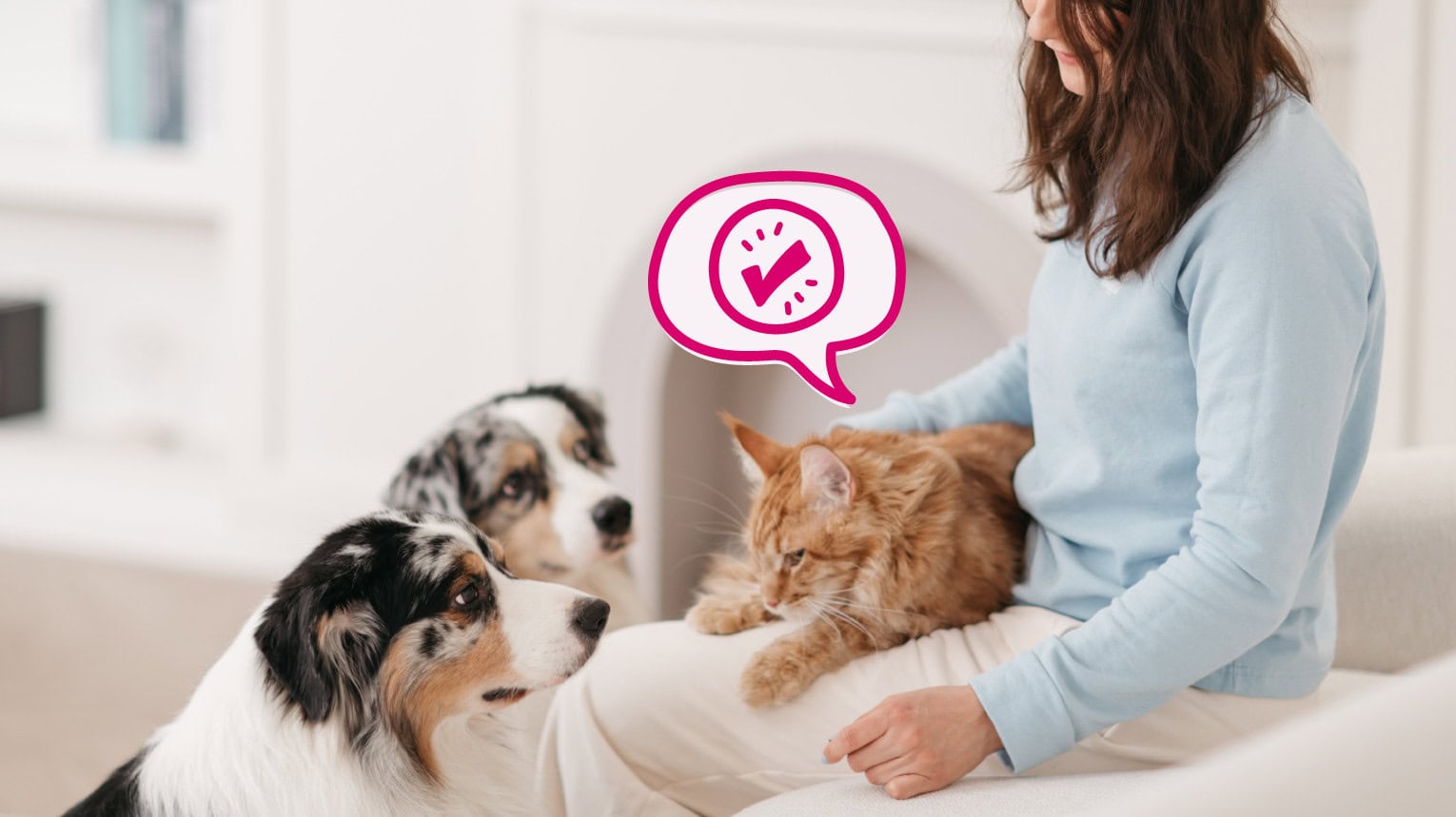 A pet owner holding a cat that has been vaccinated to prevent diseases.