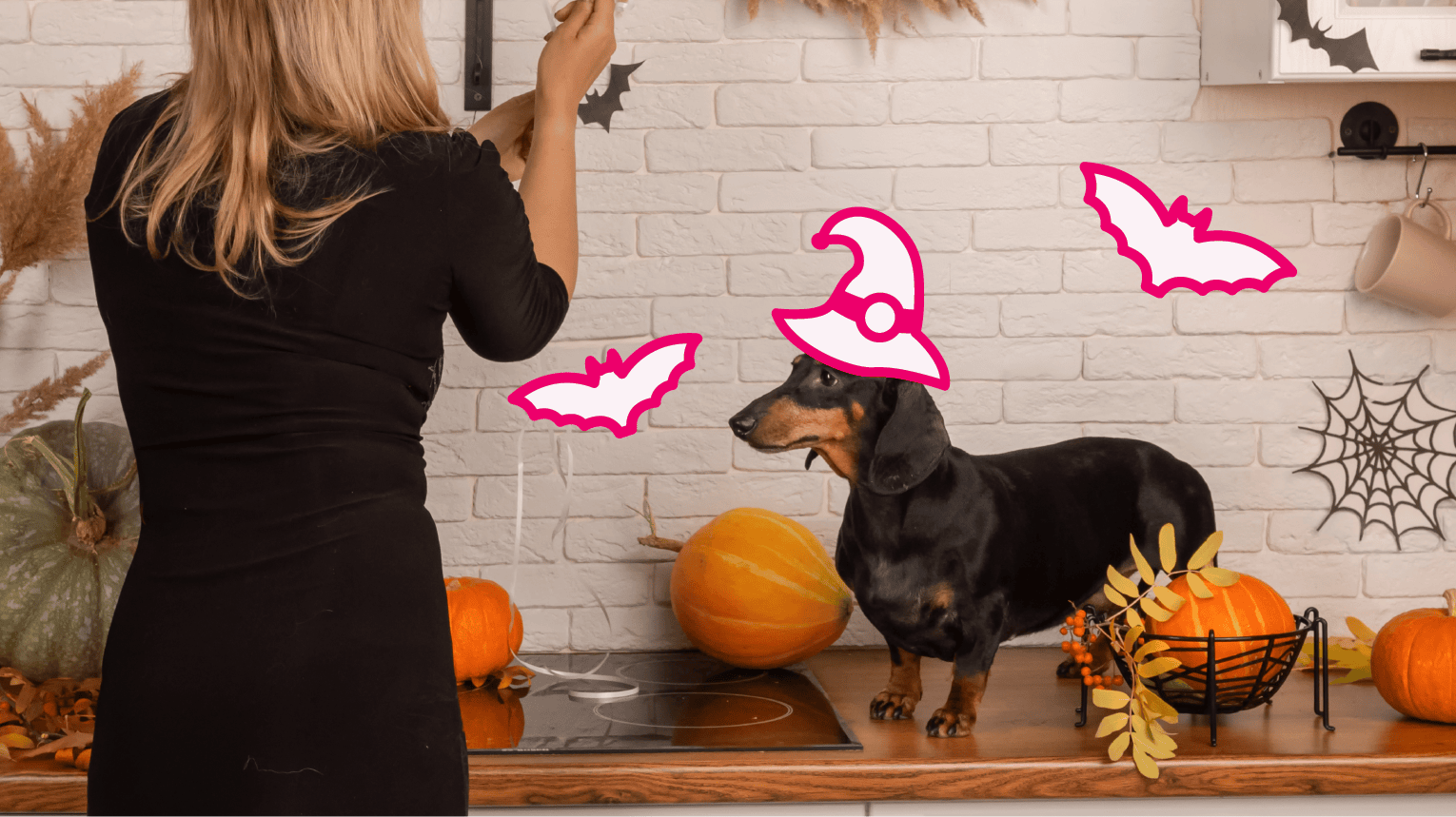 A pet parent taking photos of their dog with Halloween decorations.