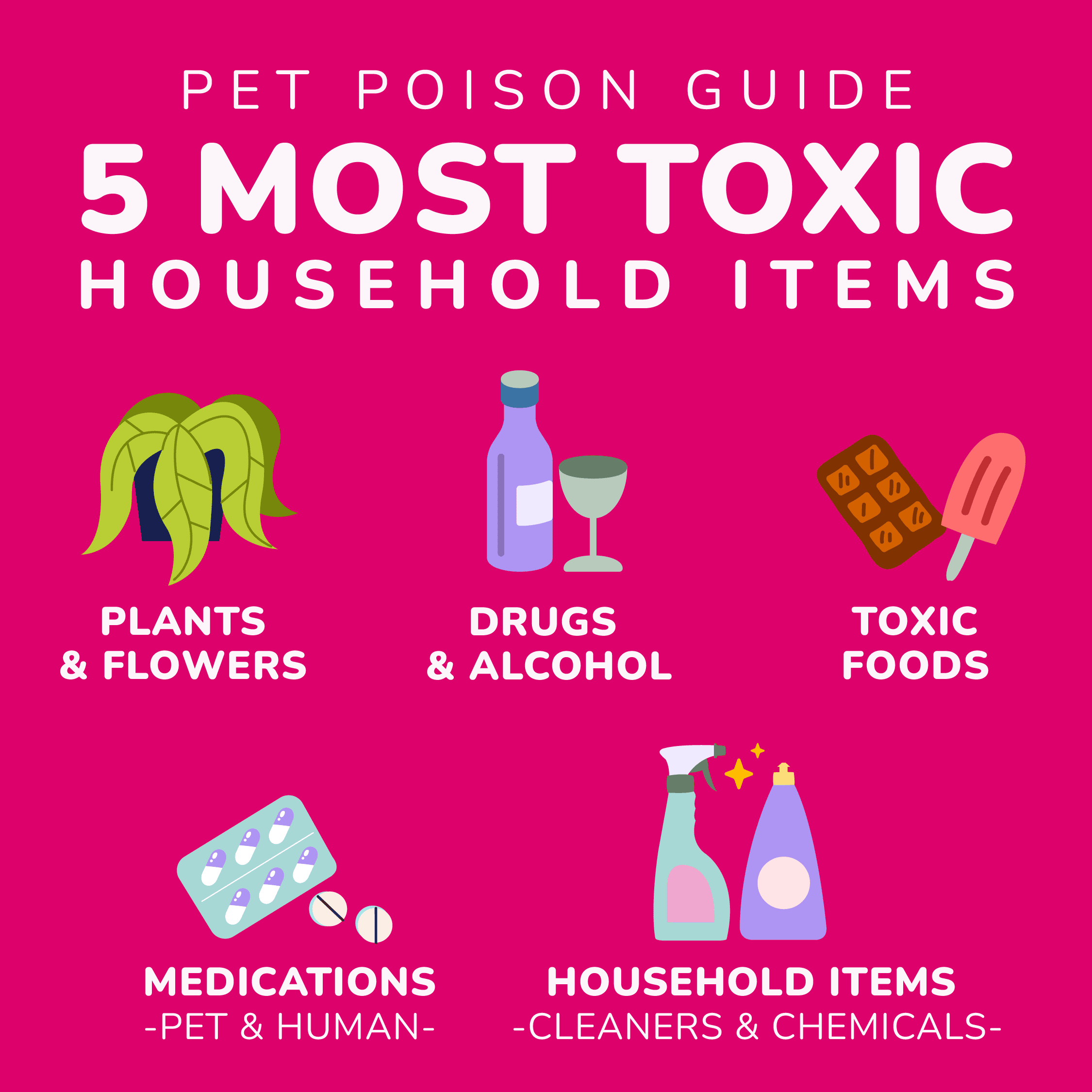 Illustration of the 5 most toxic household items for pets.